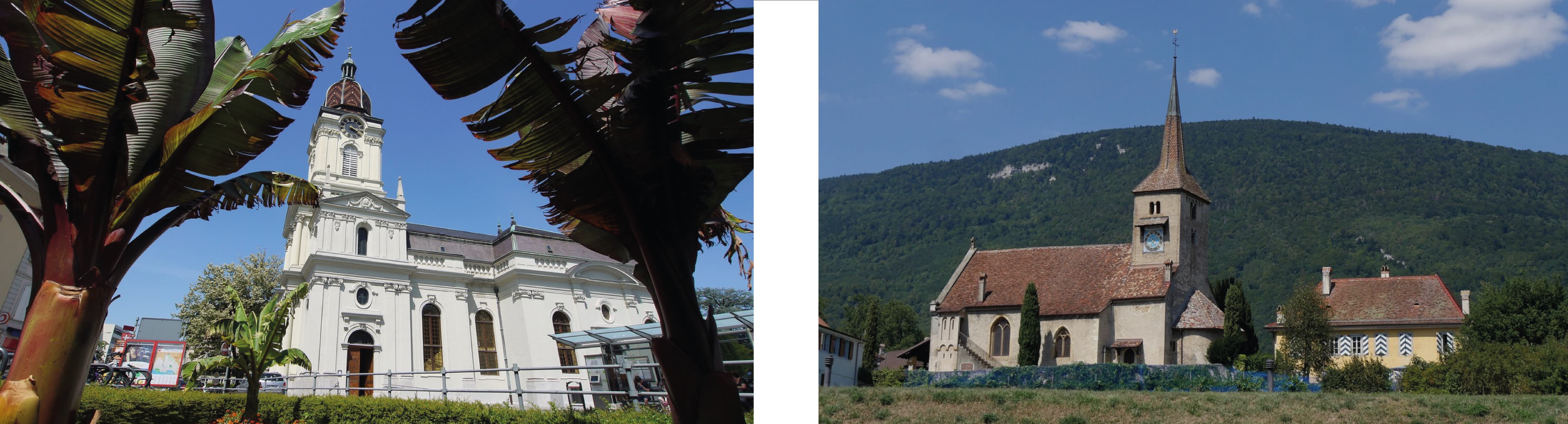 Entre Coppet et Morges